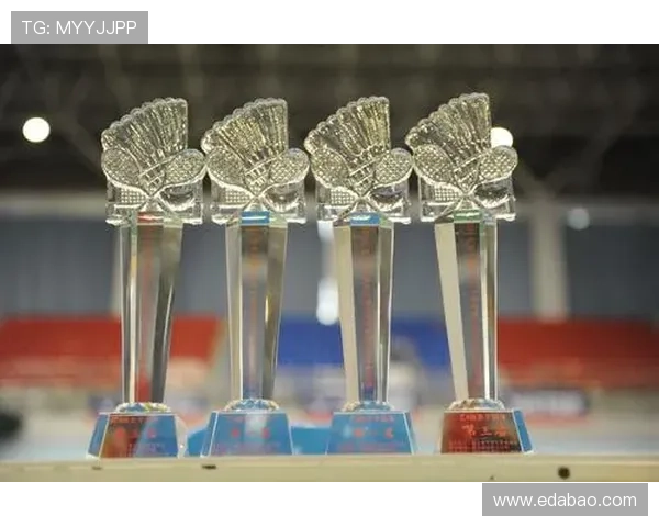 上海羽毛球队在联赛中的技术表现分析与未来发展展望 上海羽毛球队在联赛中的技术表现分析与未来发展展望