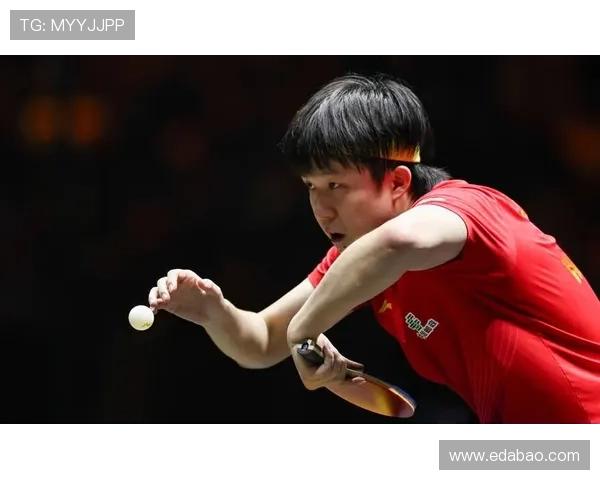 乒乓球耐力排行榜揭晓深圳乒乓球队荣获第四名成就辉煌