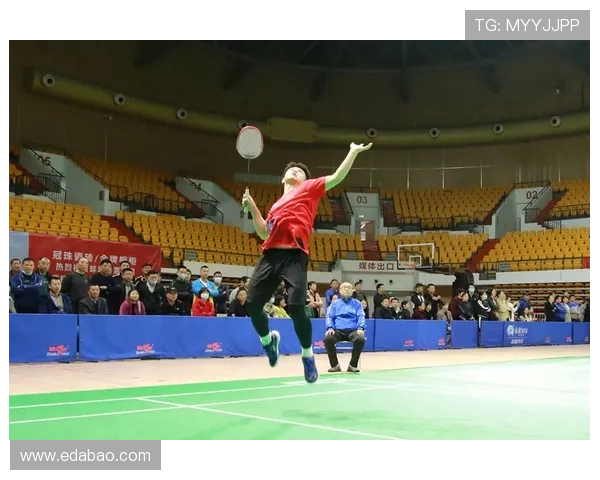 武汉羽毛球队区域防守创新之路:战术变革与团队协作的深度解析 武汉羽毛球队区域防守创新之路:战术变革与团队协作的深度解析